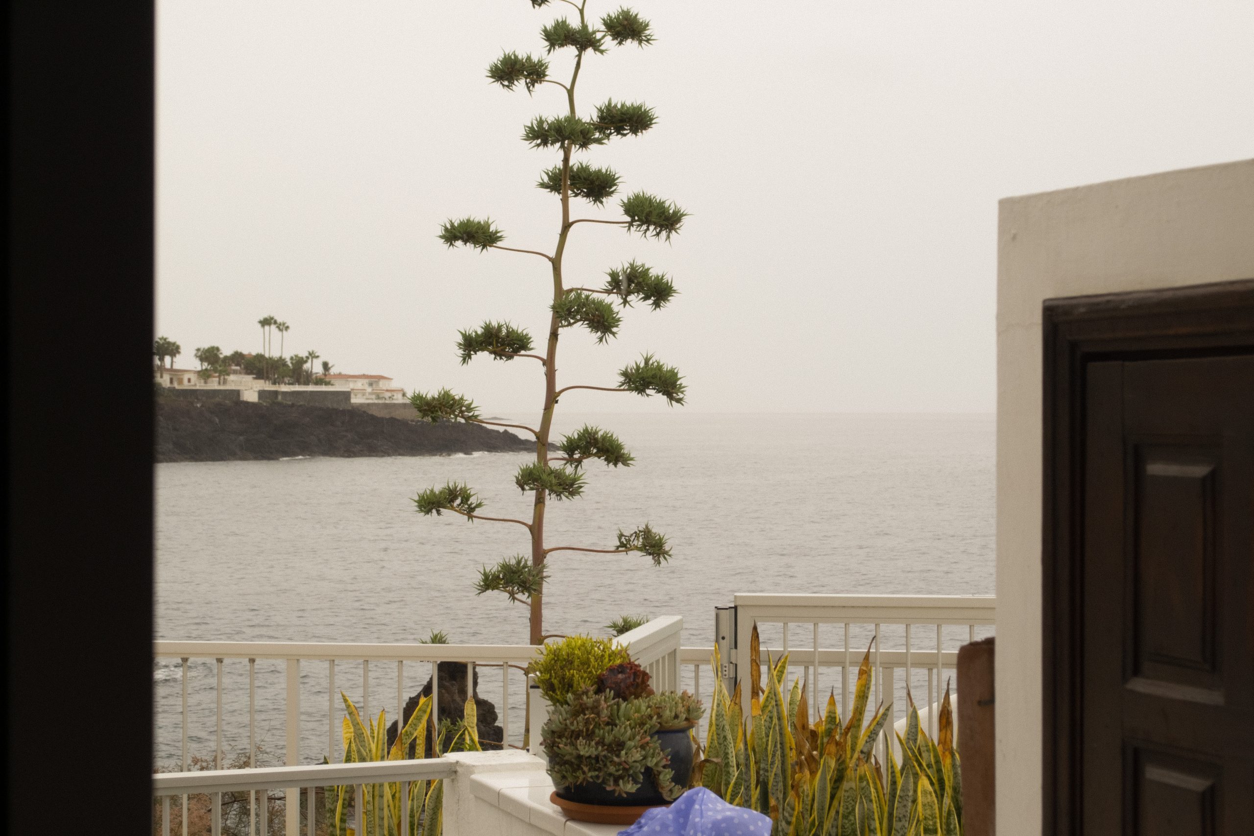 tenerife digitalprimo tempo