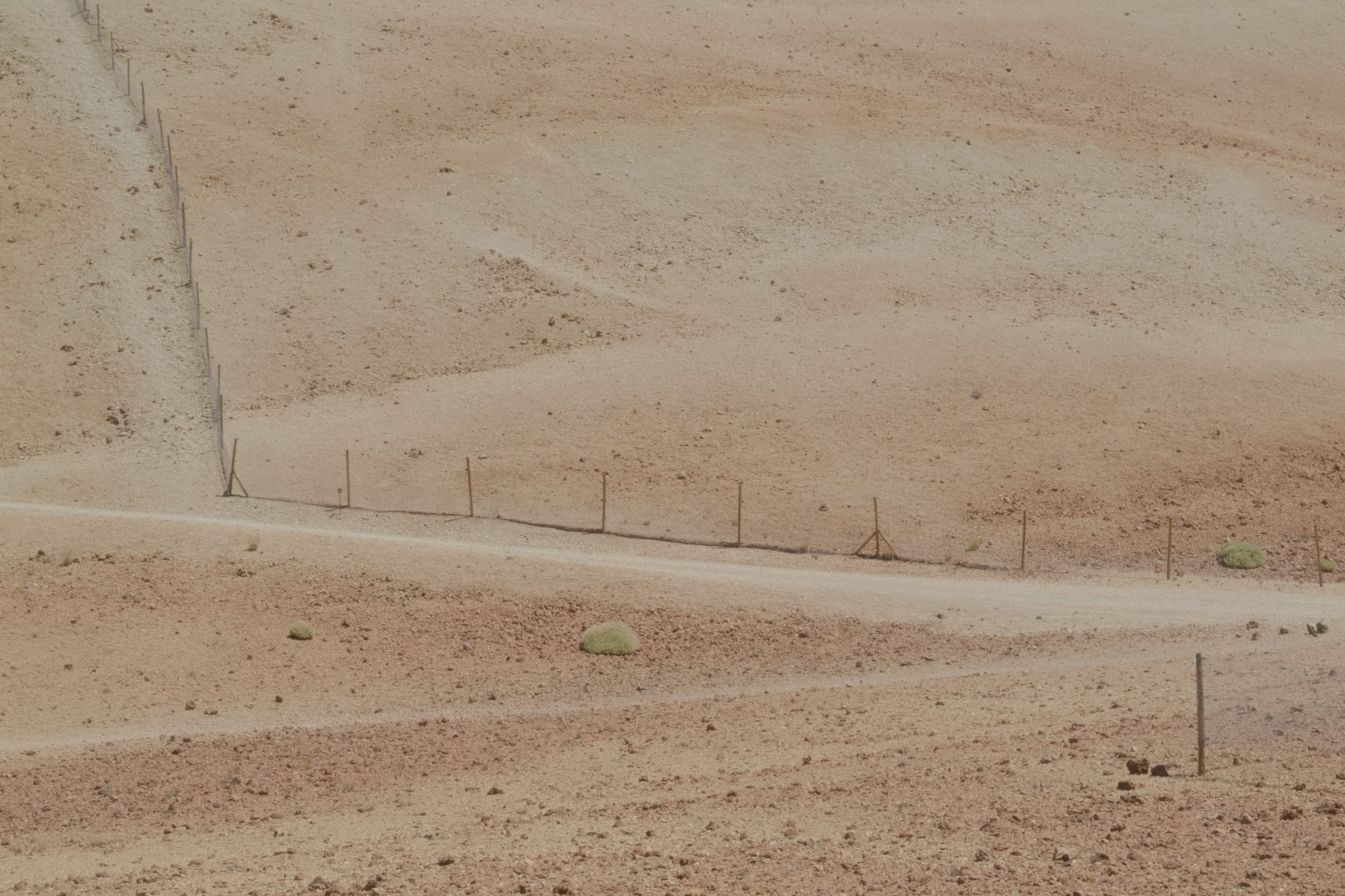 tenerife digitalprimo tempo_26